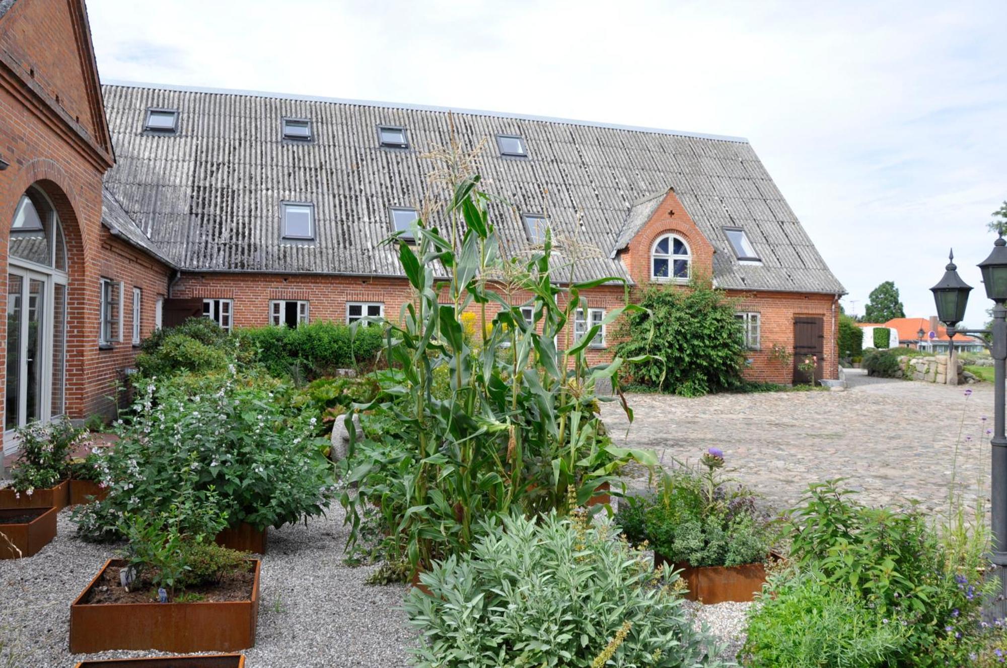فابورغ Lundsgaard Bed & Breakfast المظهر الخارجي الصورة