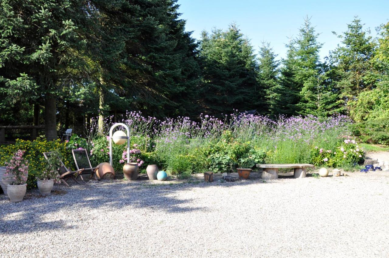 فابورغ Lundsgaard Bed & Breakfast المظهر الخارجي الصورة